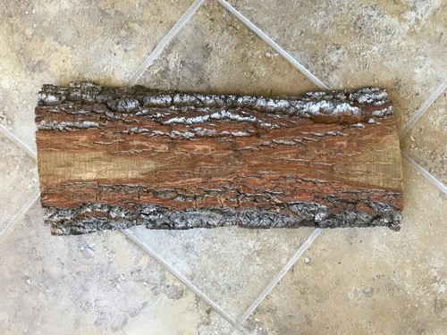 Live edge organic - poplar, wood