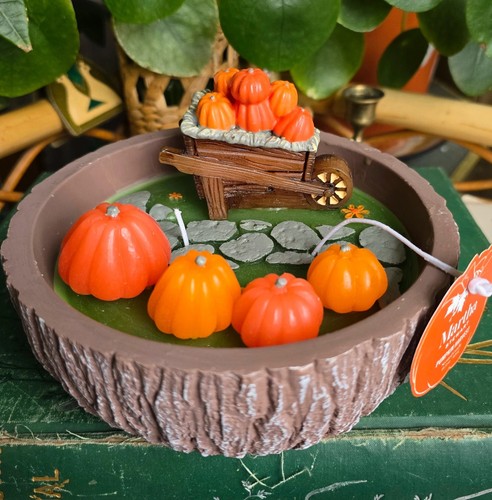 Maxx martha stewart - tk, pumpkin
