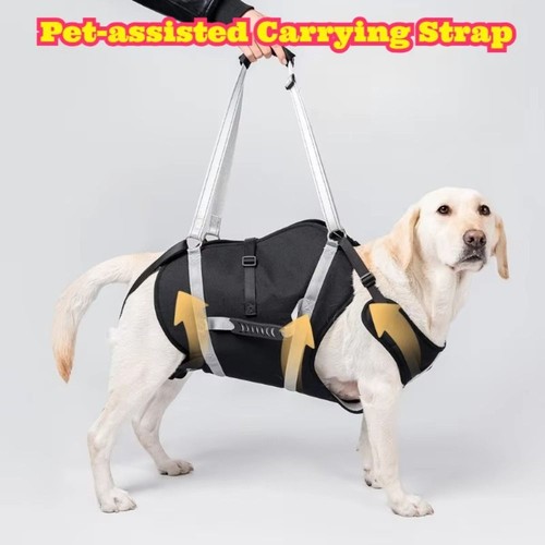 Breathable pet walking - breathable,