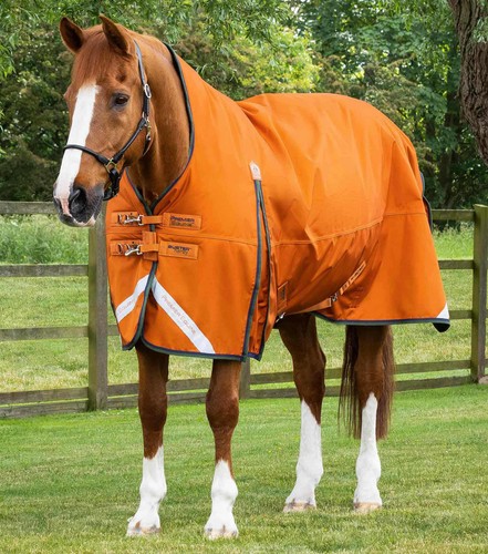 Premier equine buster hardy - buster,