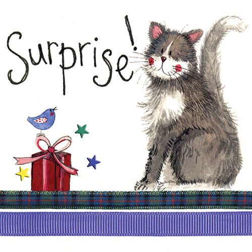 Alex clark cat card surprise - card,,