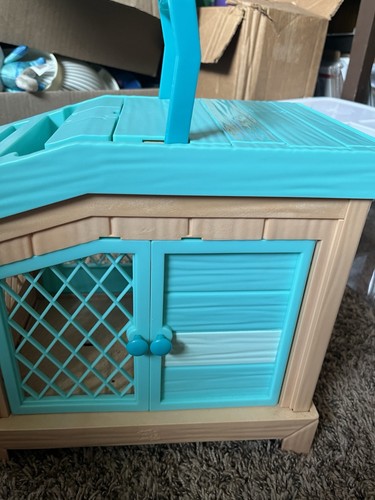 Guinea pigs play set - play,