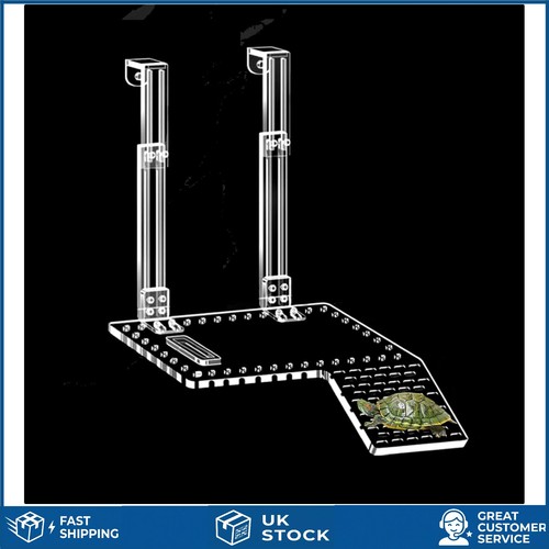 High quality acrylic turtle - high-quality,