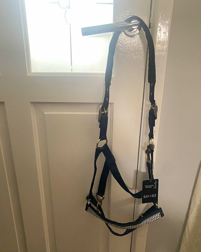 Gallop navy blue nylon - nylon, horse