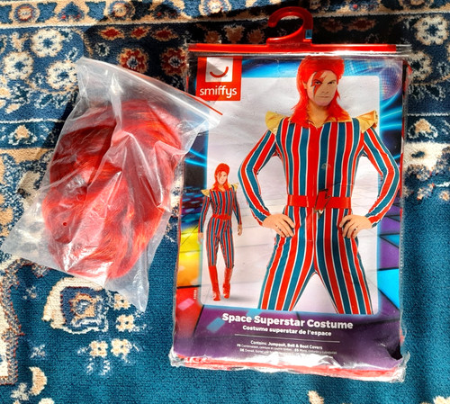 Ziggy stardust david bowie - ziggy,