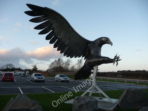 Photo 6x4 eagle statue - eagle,