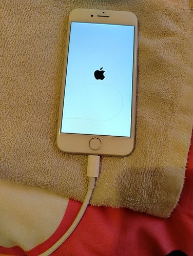 Apple iphone 64gb silver - 64gb,
