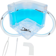 Ant Farm for Kids - Gel Castle