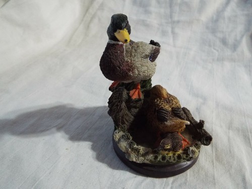 The country bird collection - the,