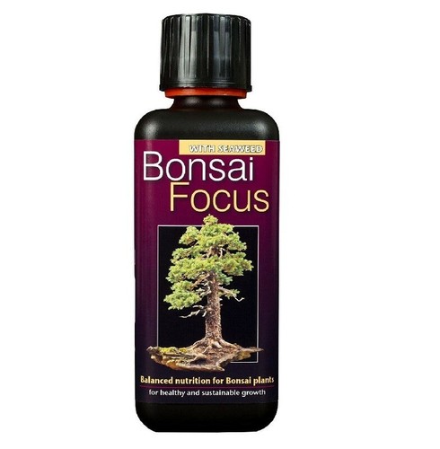 Growth technology bonsai focus - growth,