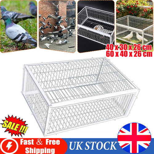 Pigeon trap cage - single, way