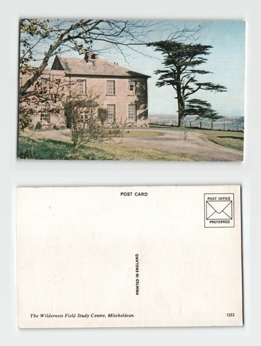 Postcard the wilderness - postcard,