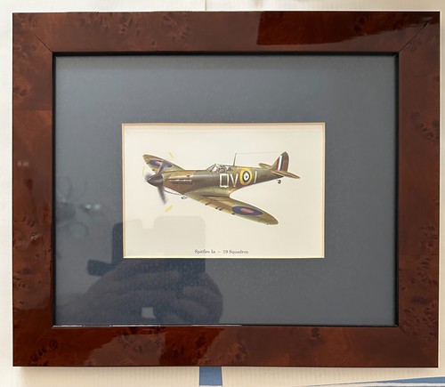 Spitfire 19 squadron - ,