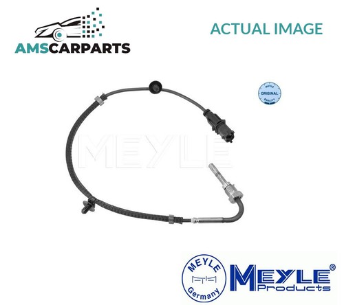 Sensor exhaust gas - exhaust, temperature