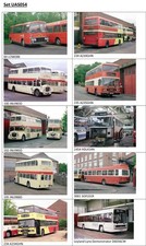 10 bus photographs (6" x 4"): United Darlington Central Works Open Day 1987