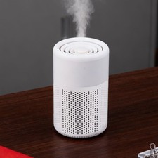 Home Air Purifiers For Large