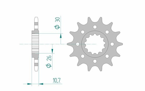 Afam racing steel sprocket - racing,