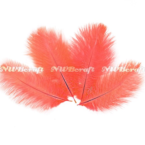 10pcs natural ostrich - 5/10pcs,