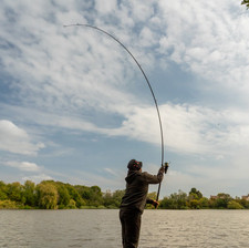 OMC Black Pearl Rod Range