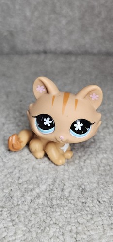 Littlest pet shop 649 - pet,