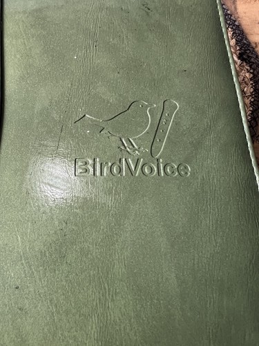 Bird voice talking - talking, record