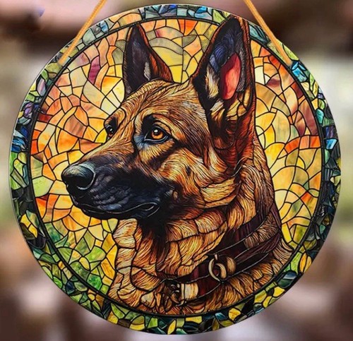 Alsatian large german shepherd - large,