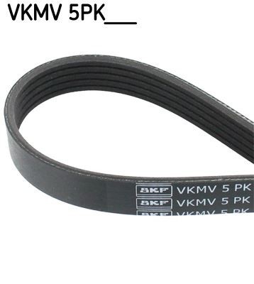 Ribbed belt for - belt, mazda