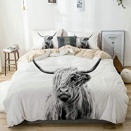 Highland cow animal scotland - cow,