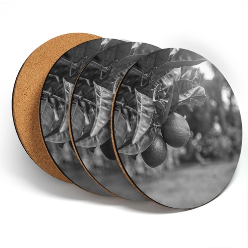 Coasters bw citrus - x,