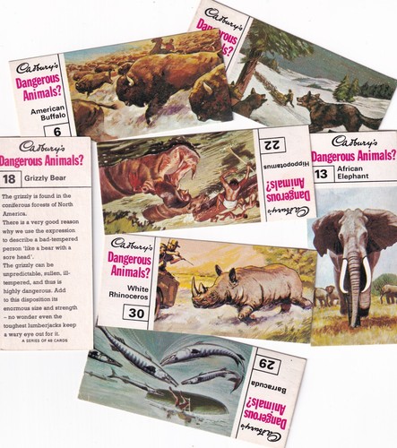 Cadbury bros ltd - cadbury,