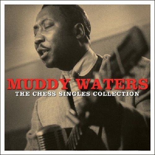 Muddy waters the - waters,