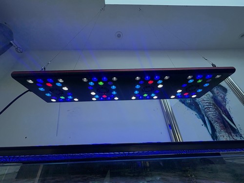 Evergrow lights led - lights,