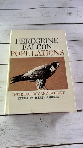 Peregrine falcon populations - falcon,