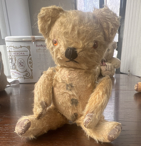 Beige teddy bear - beige,