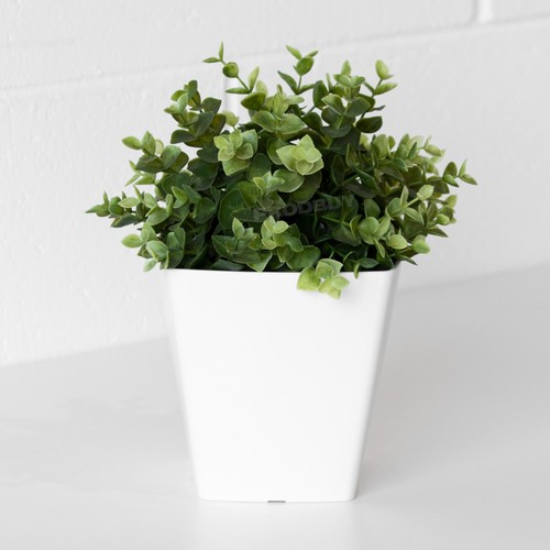 Set white small 14cm - set,
