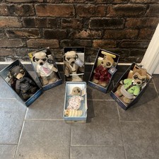 Meerkat Collection X6 Rare