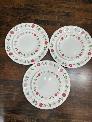 Lot corelle - 6,