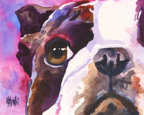 Boston terrier print - print, of