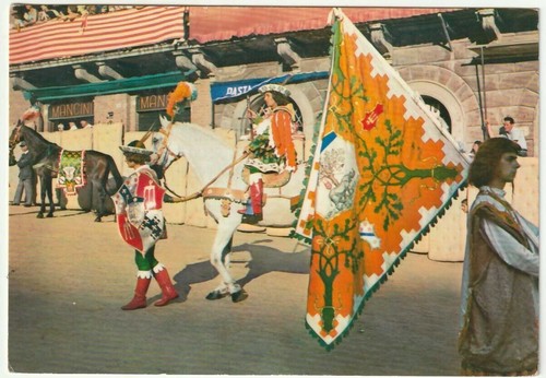 Siena palio paggio - siena,