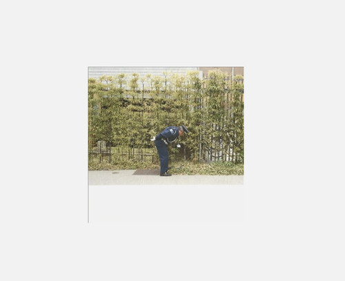 Gold panda good luck and - good, do