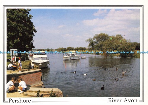 D155890 pershore river - pershore.,