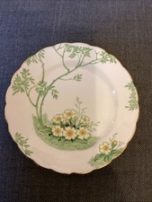 Vintage Stafforshire New