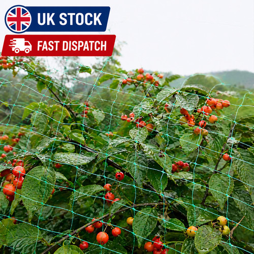 Garden trellis netting 10m - netting, x