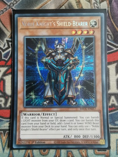 Noble knight shield - knight's,