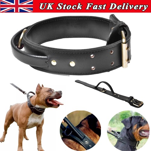 Large leather dog collar with - leather,