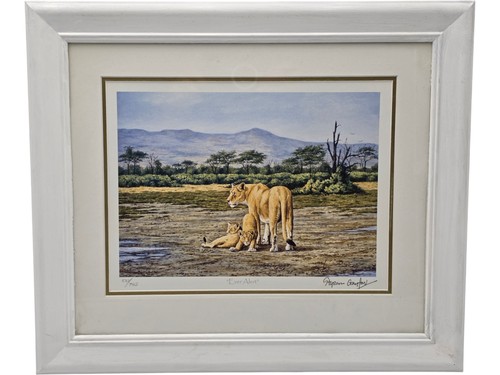 Stephen gayford limited - stephen,