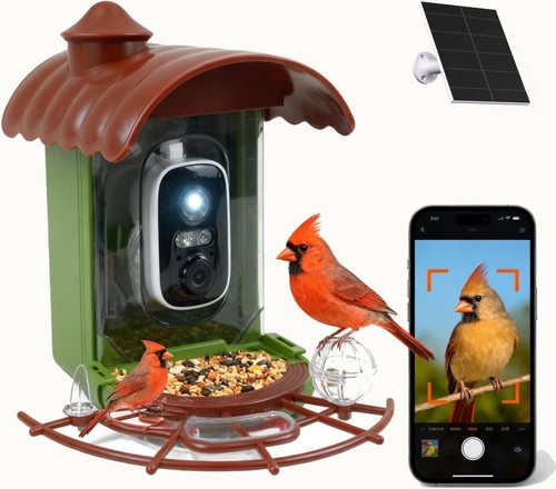 Bird feeder with camera - bird, smart