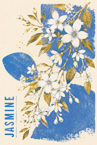 Jasmine flower poster - 41.,