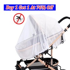 Summer Mosquito Insect Mesh