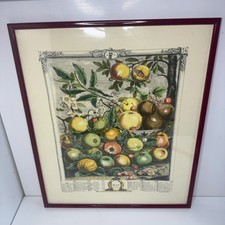 Framed Art Print May 1732